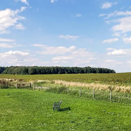 Raygill Shepherds Hut 펜션 Dishforth