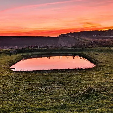 Raygill Shepherds Hut Dishforth